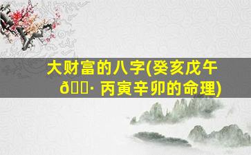 大财富的八字(癸亥戊午 🌷 丙寅辛卯的命理)